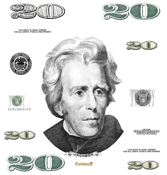 Foto venti 20 dollaro $elementi di banconota isolati su sfondo bianco — Foto Stock