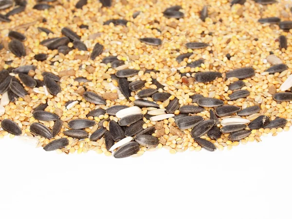 Geassorteerde zaad met zonnebloem en gierst voor exotische vogels — Stockfoto