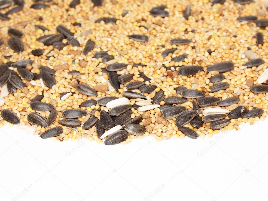 Assorted seed with sunflower and millet for exotic birds