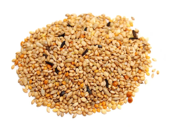 Pile of seed mixture isolated on white background. Pet food for birds — Stock Photo, Image