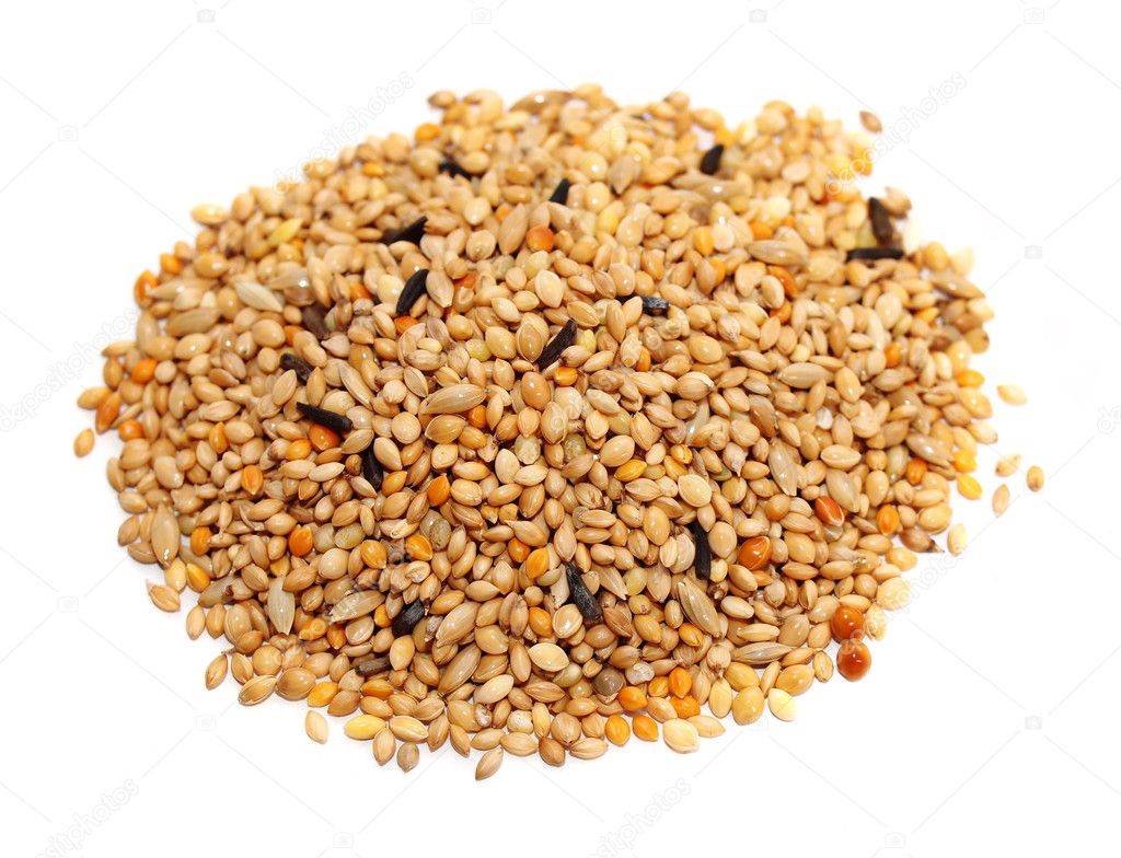 Pile of seed mixture isolated on white background. Pet food for birds