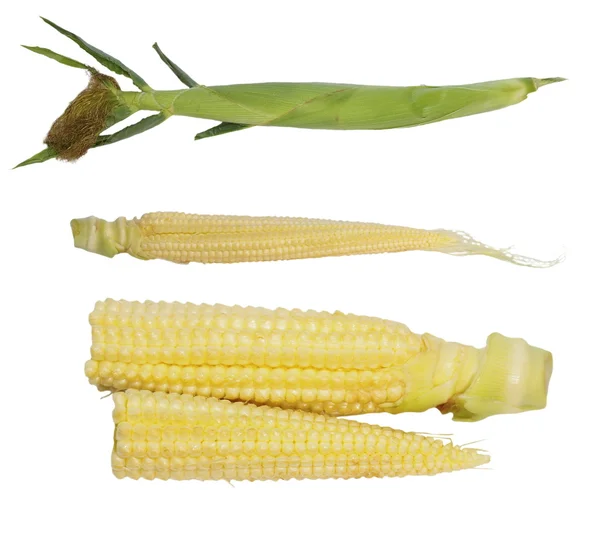 Conjunto de espiga de milho jovem isolado no fundo branco — Fotografia de Stock