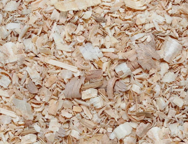 Wood shavings background — Stock Photo, Image