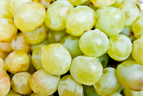 stock image Grape background