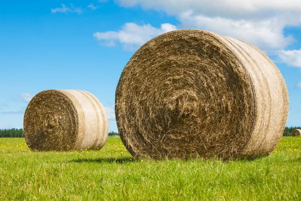 Dois grandes rolos de fardos de feno em um campo verde — Fotografia de Stock