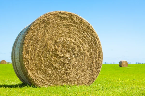 กลิ้งก้อนหญ้าใหญ่ในสนามสีเขียว — ภาพถ่ายสต็อก