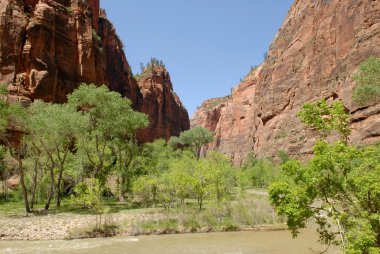 Zion national park iz Utah, ABD