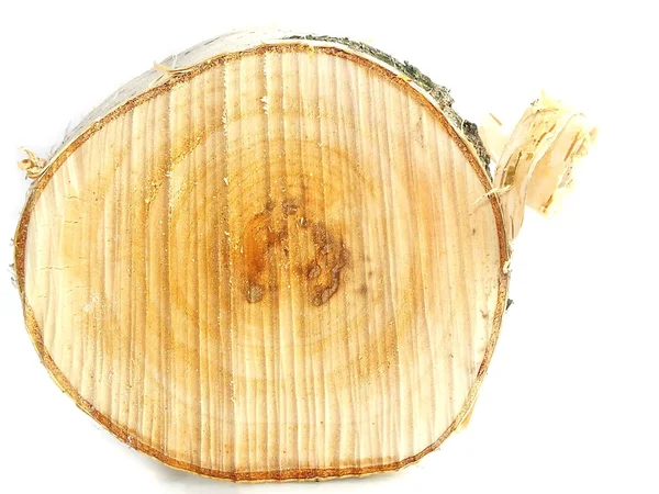 Primo piano di un pezzo di legno di betulla — Foto Stock