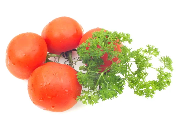 Vlhké s rajčaty petržel — Stock fotografie