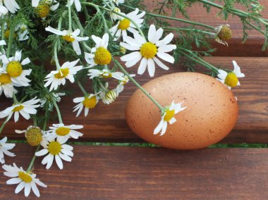 bir ahşap tahta üzerinde kahverengi bir organik yumurta