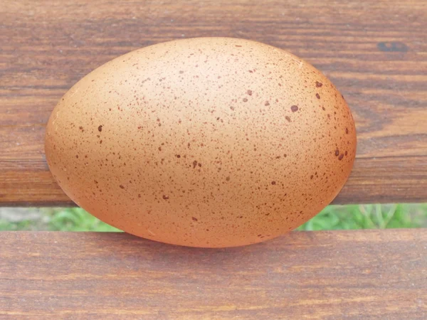 Коричневі органічні яйця на дерев'яній дошці — стокове фото