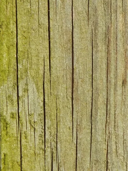 Schönes altes Holz als Hintergrund lizenzfreie Stockbilder
