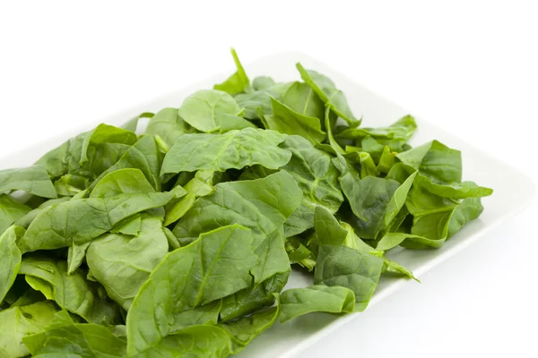 stock image Spinach