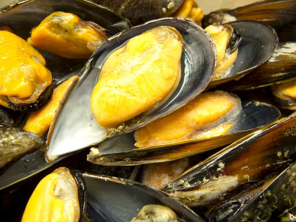 Bakade musslor — Stockfoto