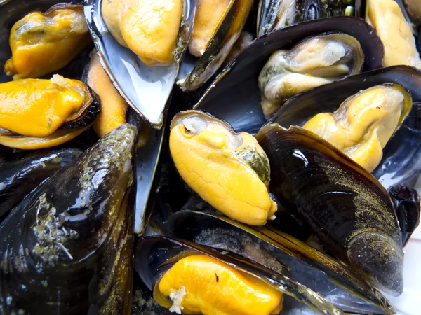Bakade musslor — Stockfoto