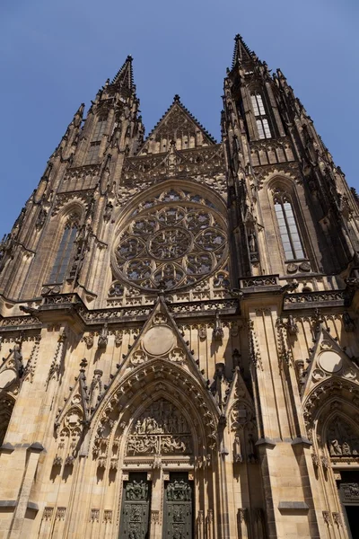 Prag Katedrali — Stok fotoğraf