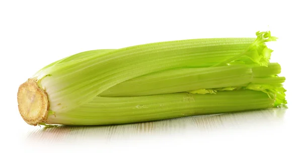 Čerstvý celer, izolované na bílém — Stock fotografie