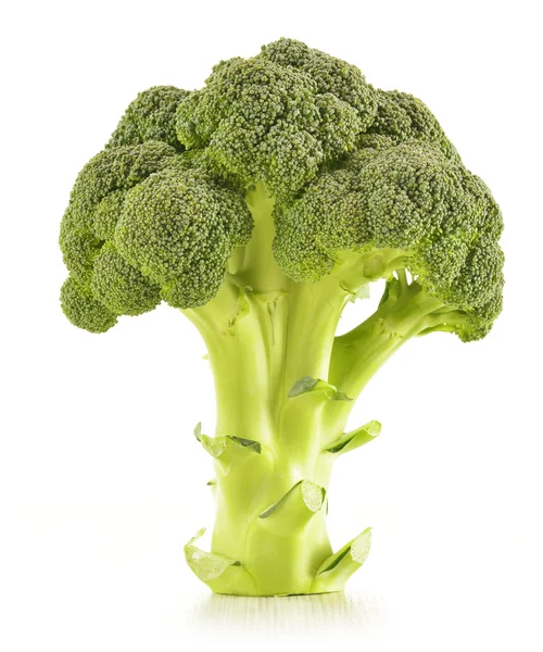 Broccoli crudi isolati su bianco — Foto Stock