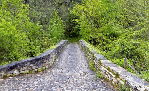 Entrada puente romano, Poo de Cabrales . — Foto de Stock