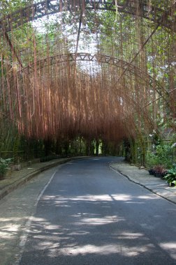 Bahçe Road