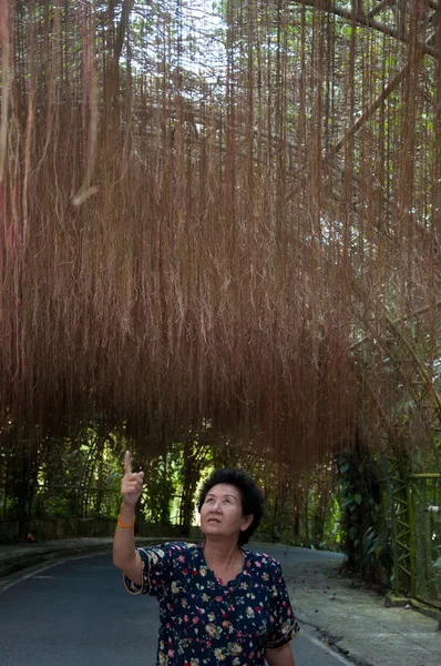 Aziatische senior vrouw in tuin — Stockfoto