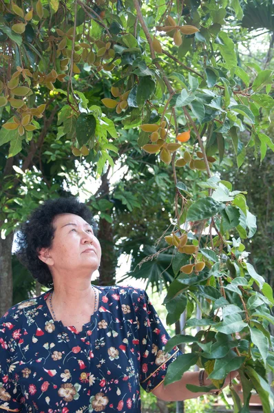 Азиатская старшая женщина в саду — стоковое фото