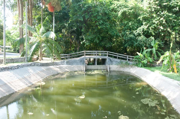 Bron och dammen i trädgården — Stockfoto