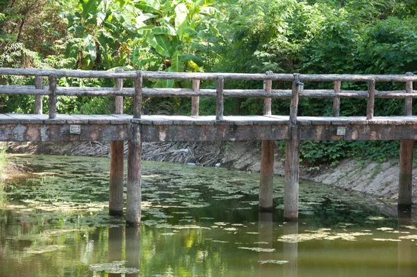 Ponte e lagoa no jardim — Fotografia de Stock