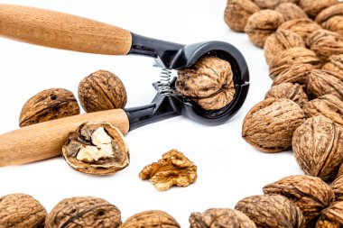 Walnuts clipart