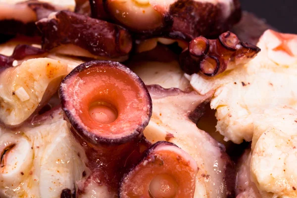 Octopus slices — Stock Photo, Image