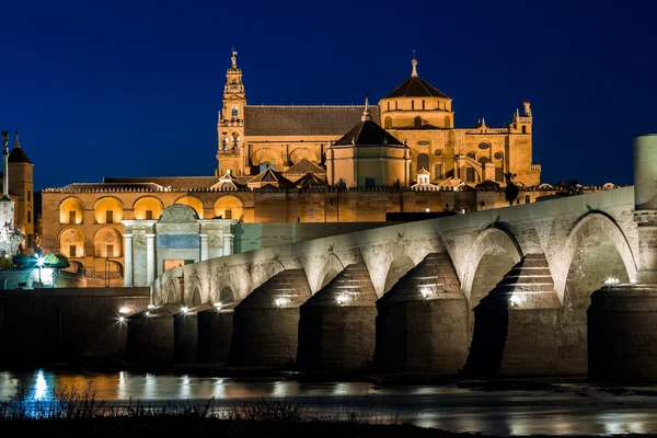 stock image Mezquita and roman bridge