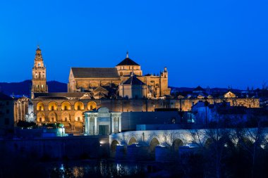 Mezquita and roman bridge clipart