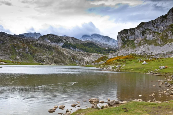 Lago Ercina — Foto de Stock