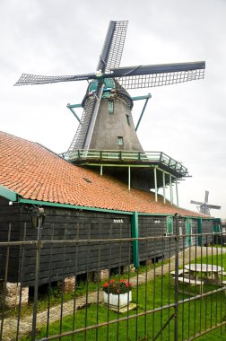 Zaanse tarlalarında yel değirmeni