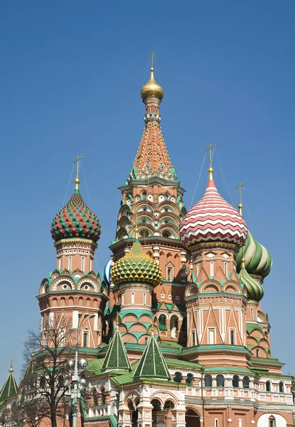 Санкт-Петербург Базилика — стоковое фото
