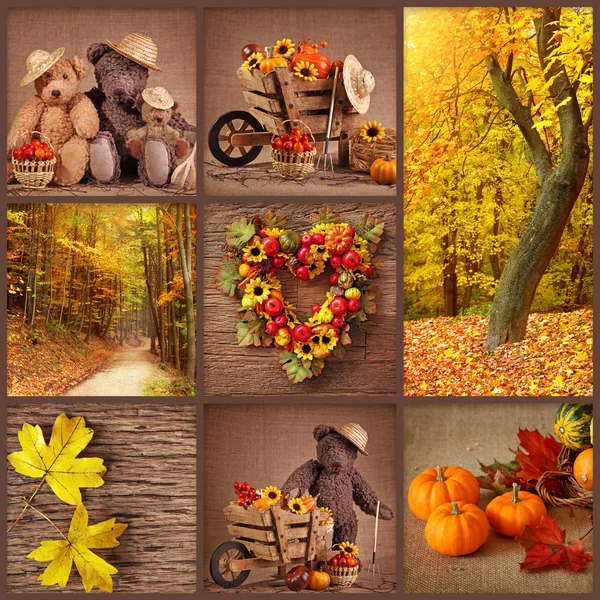 秋のコラージュ — ストック写真