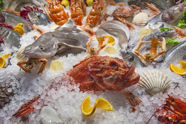 stock image Seafood