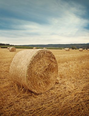 Round bales of straw clipart