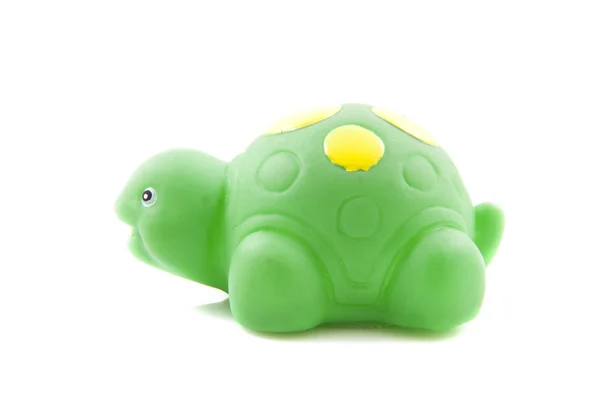 Зелена черепаха — стокове фото