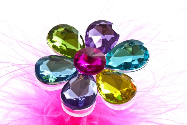 Juwelenblume — Stockfoto