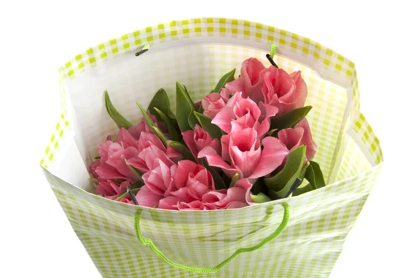 Tulipbag — Stock Photo, Image