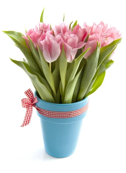 Speciální tulipány — Stock fotografie