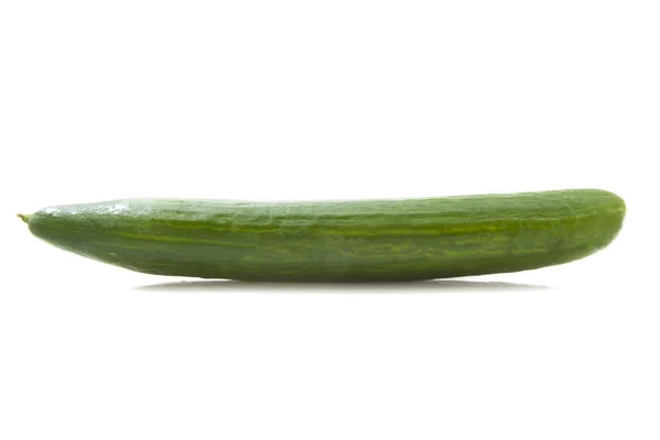 Salatalık — Stok fotoğraf