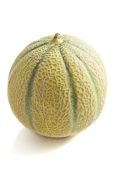 Frische Melone — Stockfoto