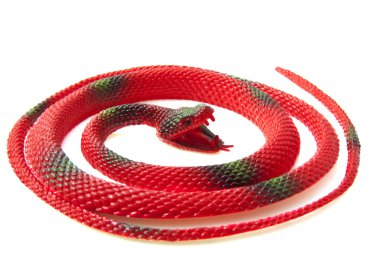 Red snake clipart