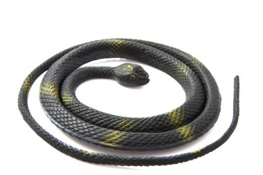 Black mamba clipart