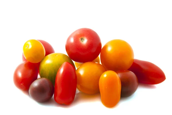 Divoká rajčata — Stock fotografie
