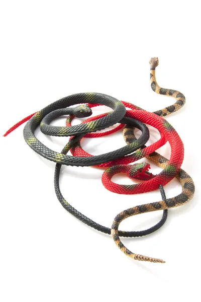 Snakepit — Stock Photo, Image
