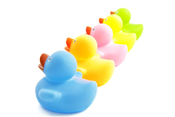 Happy ducklings — Stock Photo, Image