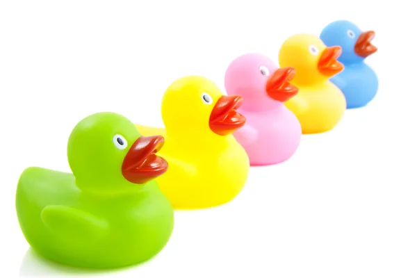 Colorful ducklings — Stock Photo, Image